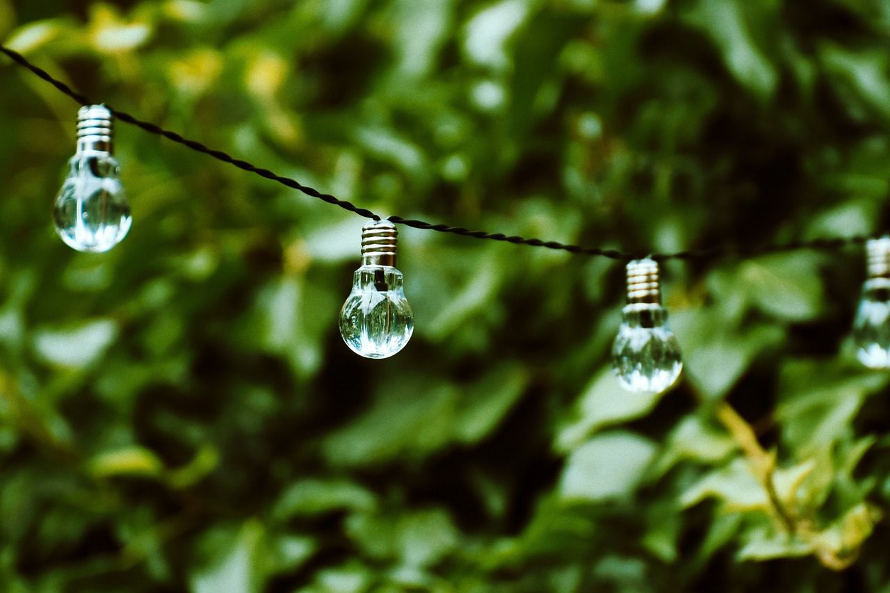 Light bulbs on line